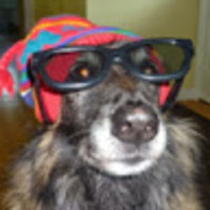 Meet your Posher, Kat